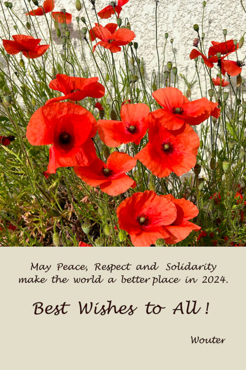 A picture of poppies, with the text: May Peace, Respect and Solidarity make the world a better place in 2024. Best Wishes to all!